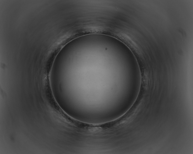 X0000090970355200708021442