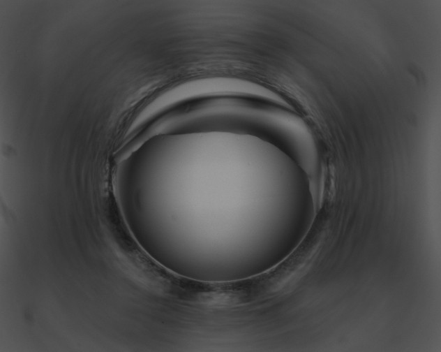 X0000090970356200708021442