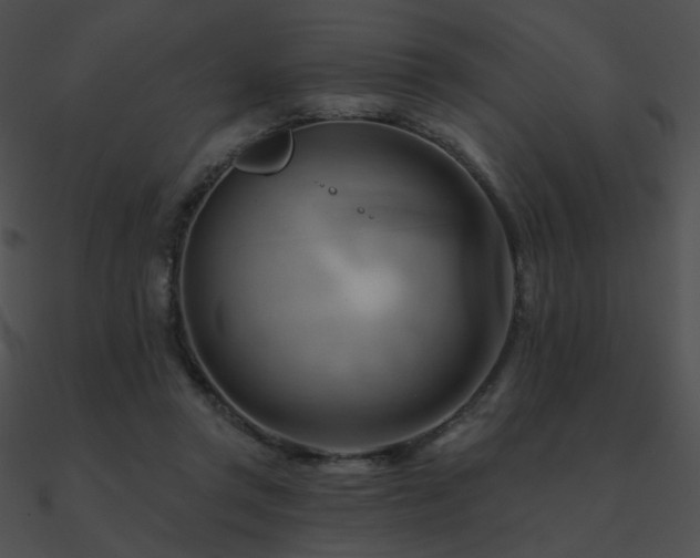 X0000090970357200708021442