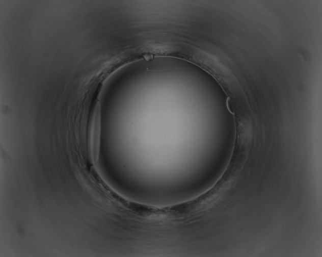 X0000090970358200708021442