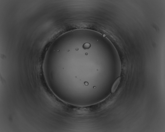 X0000090970359200708021442