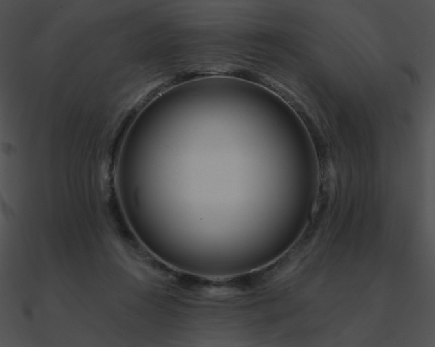 X0000090970360200708021442