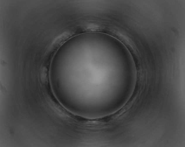 X0000090970361200708021442