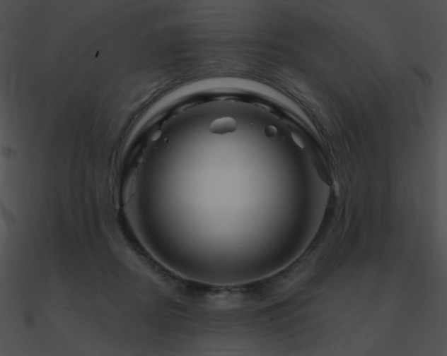 X0000090970362200708021442