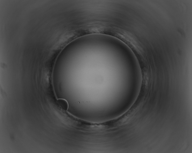 X0000090970363200708021442