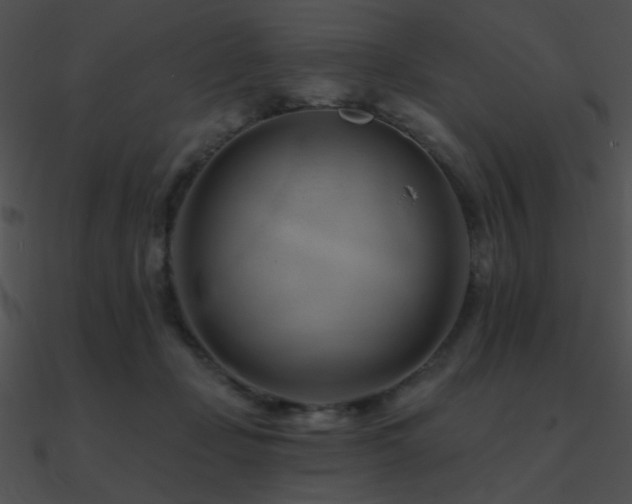 X0000090970365200708021442