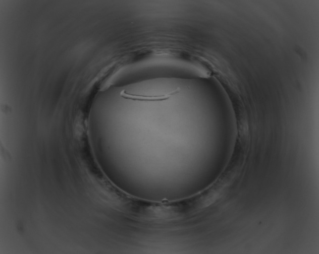 X0000090970367200708021442