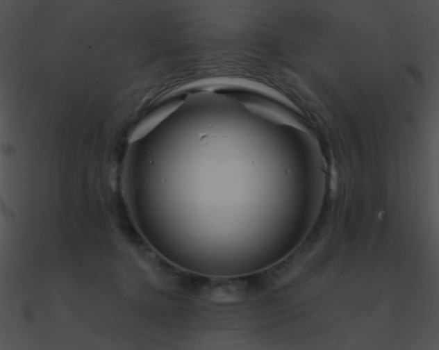 X0000090970368200708021442