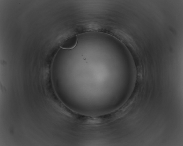 X0000090970369200708021442