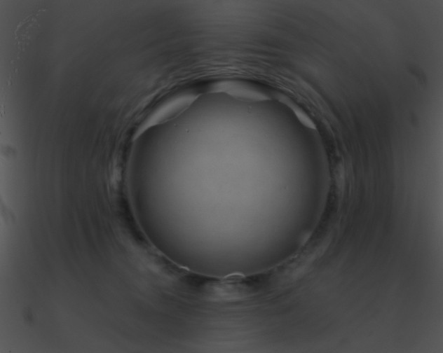 X0000090970372200708021442