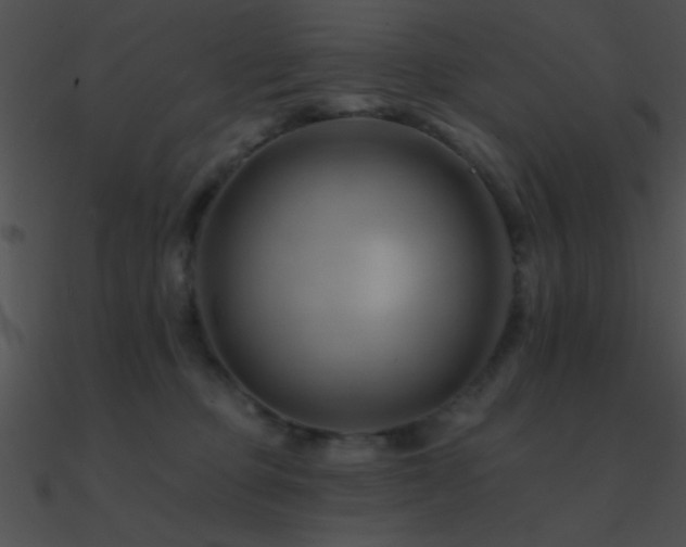 X0000090970373200708021442