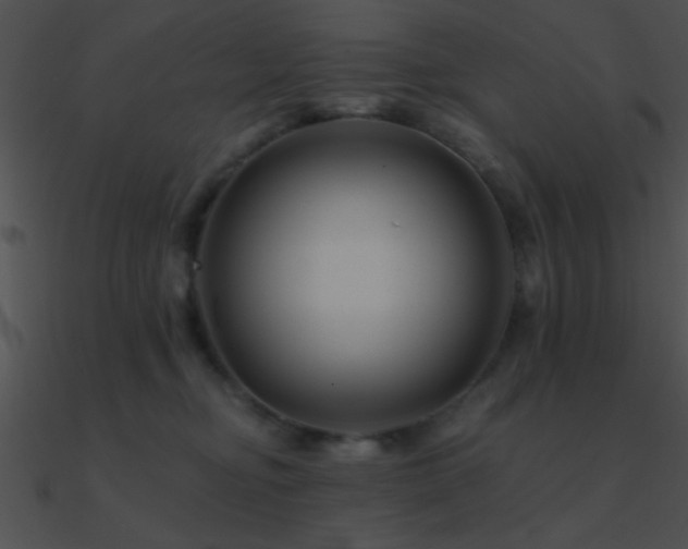 X0000090970374200708021442