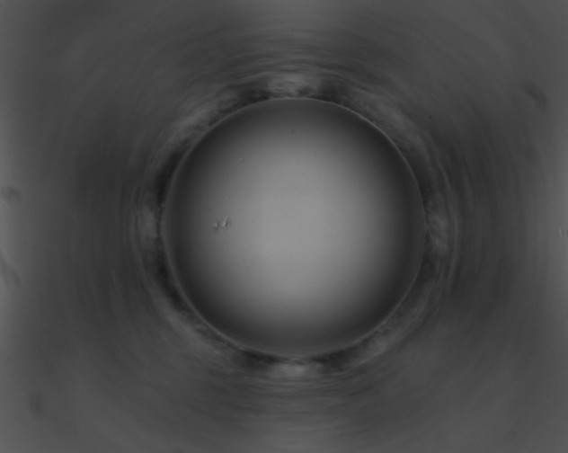 X0000090970375200708021442