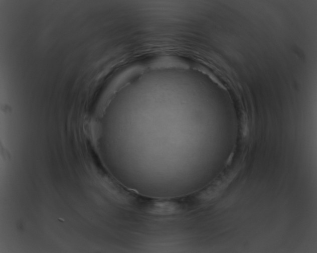 X0000090970376200708021442