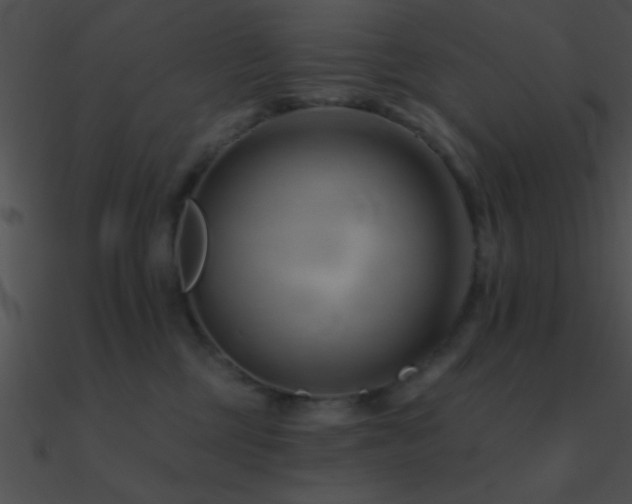 X0000090970377200708021442