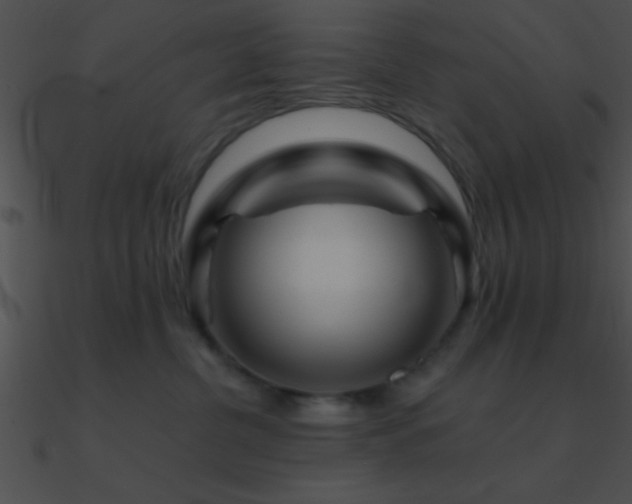 X0000090970380200708021442