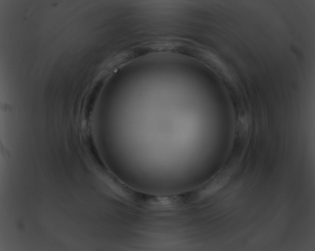 X0000090970381200708021442