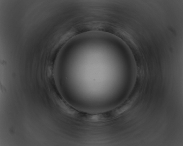 X0000090970382200708021442