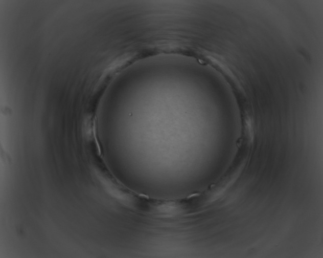 X0000090970383200708021442