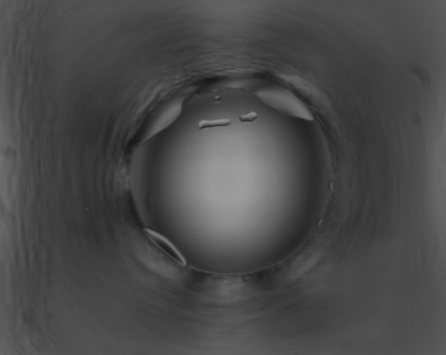 X0000090970384200708021442