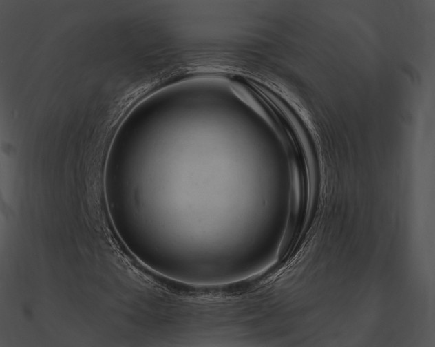 X0000090970385200708021442