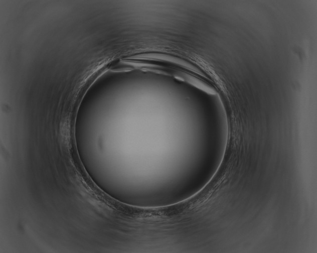 X0000090970386200708021442