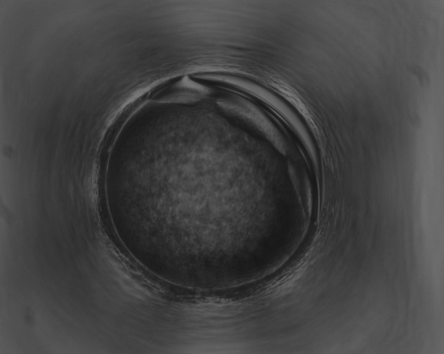 X0000090970387200708021442