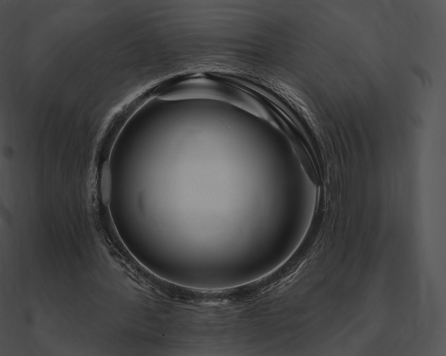 X0000090970388200708021442