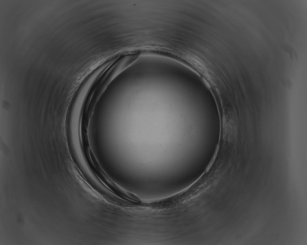 X0000090970389200708021442