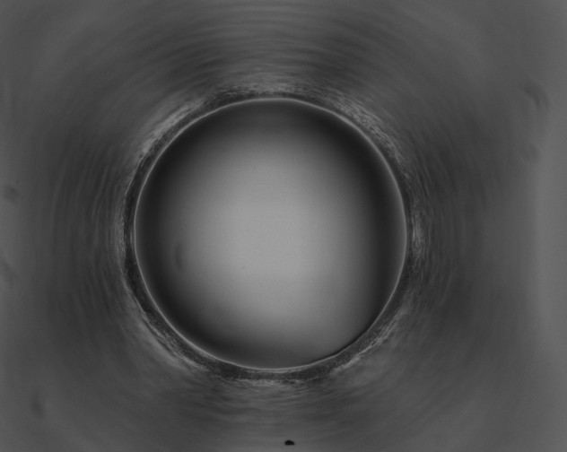 X0000090970390200708021442