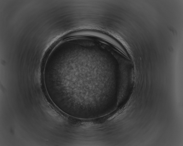 X0000090970391200708021442