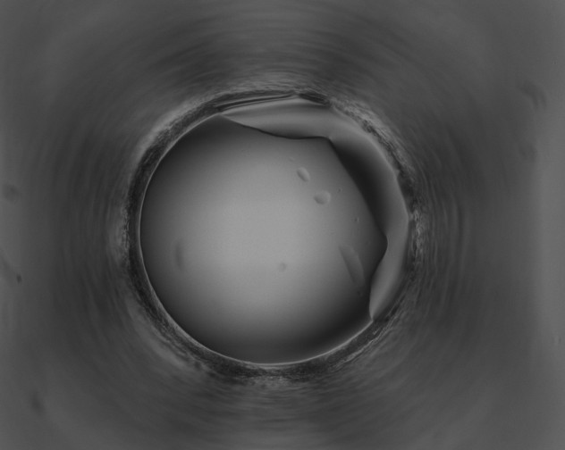 X0000090970392200708021442