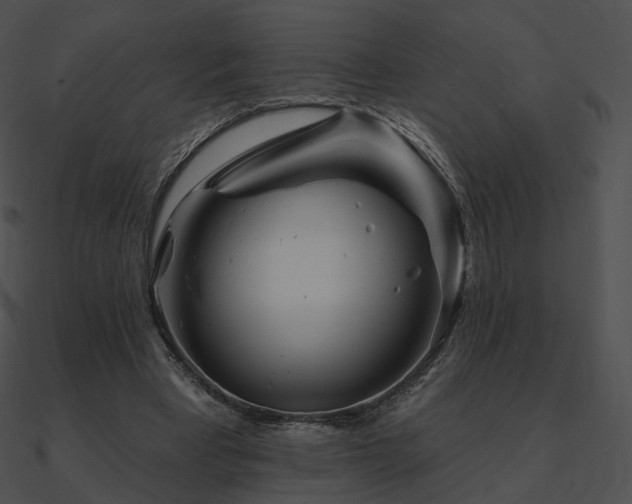 X0000090970393200708021442