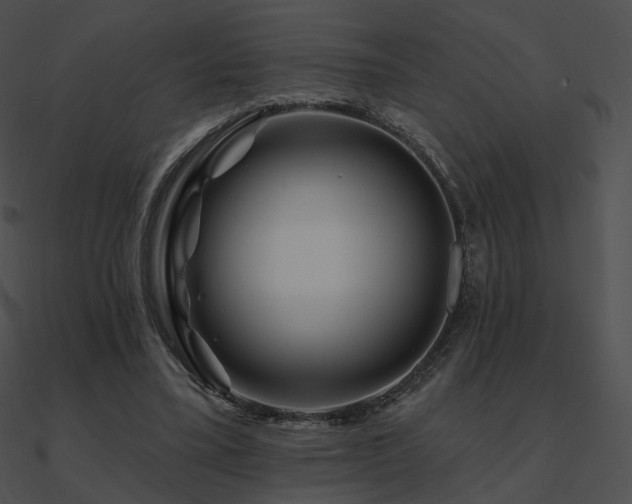 X0000090970395200708021442