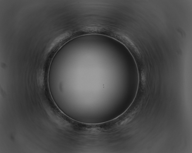 X0000090970396200708021442