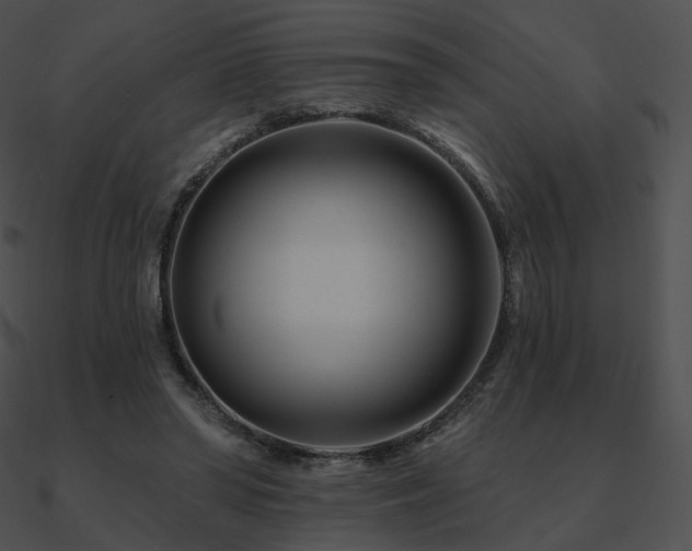 X0000090970398200708021441