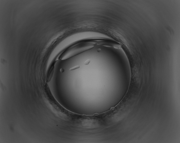 X0000090970400200708021441