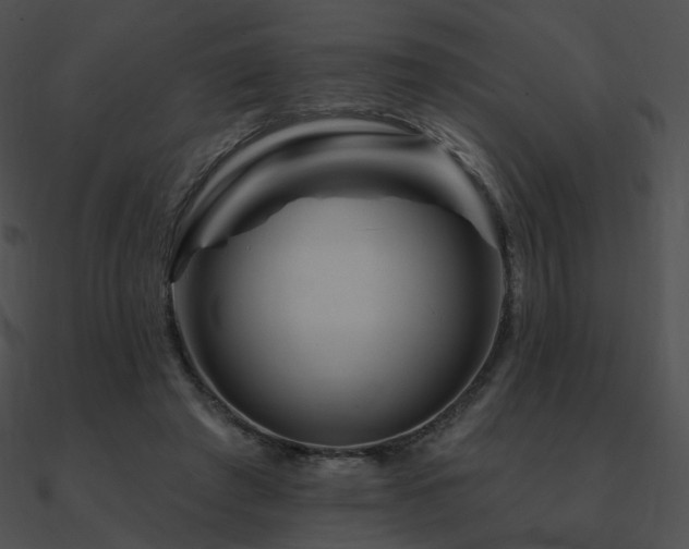 X0000090970401200708021441