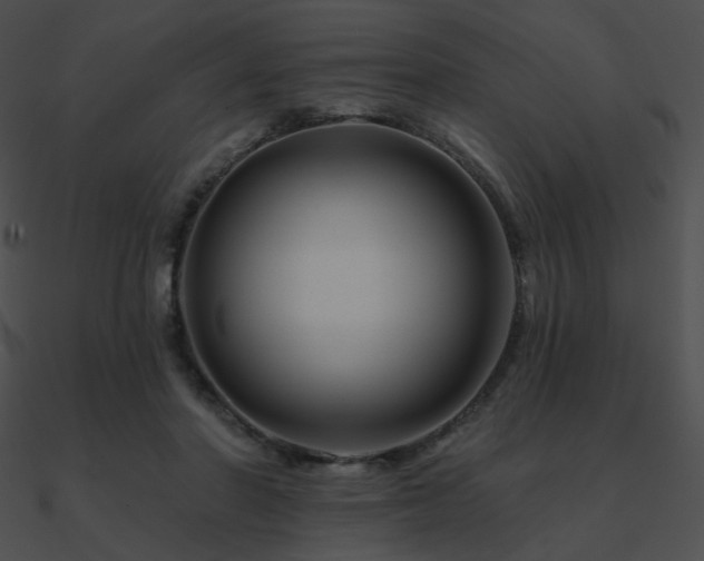 X0000090970406200708021441