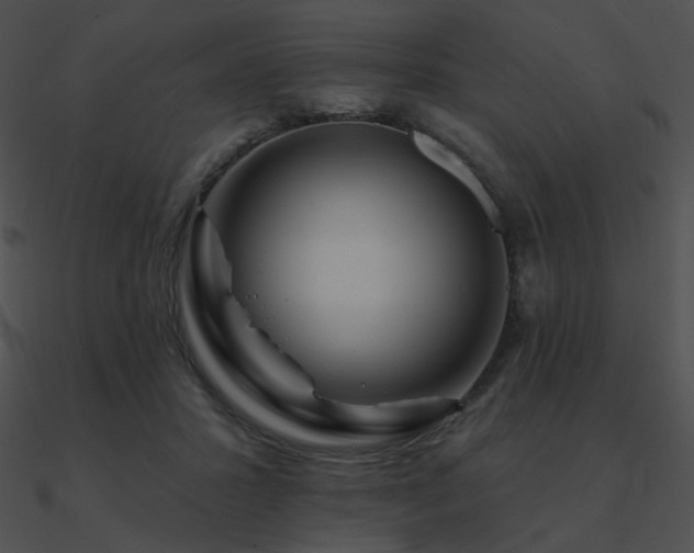 X0000090970407200708021441