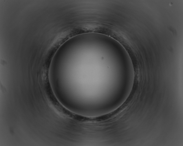 X0000090970408200708021441