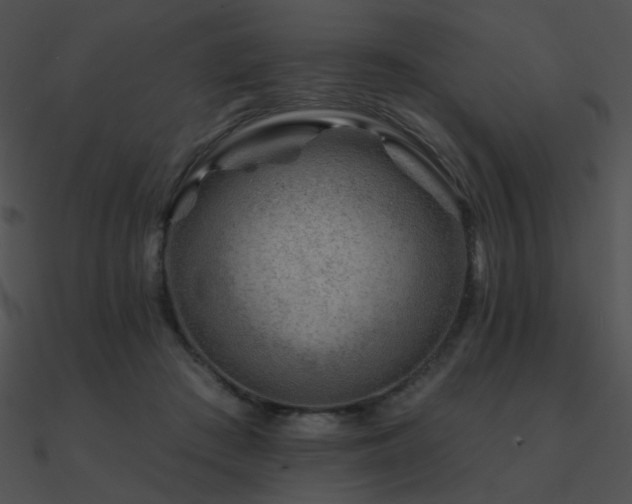 X0000090970409200708021441