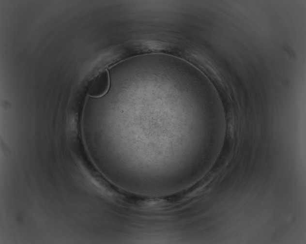 X0000090970410200708021441