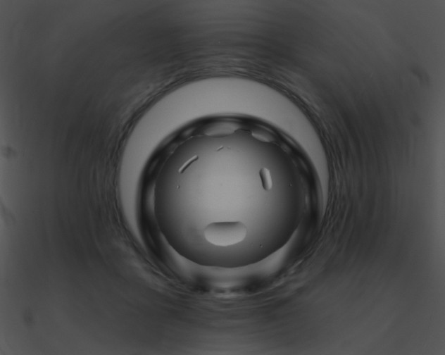 X0000090970411200708021441