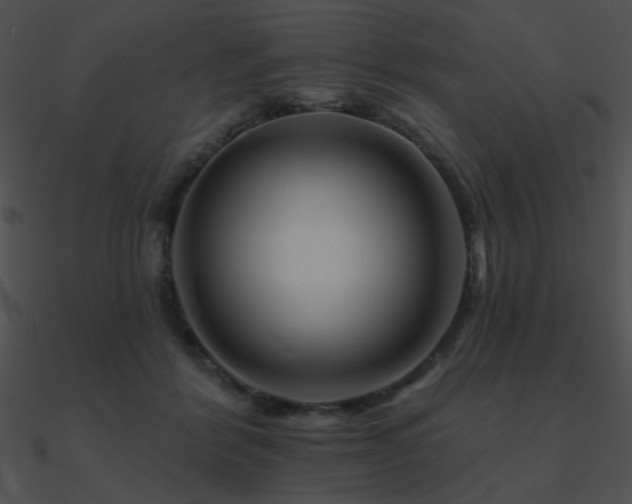 X0000090970412200708021441