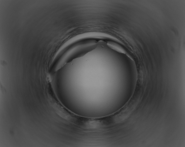 X0000090970413200708021441