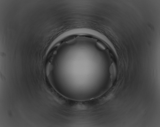 X0000090970416200708021441