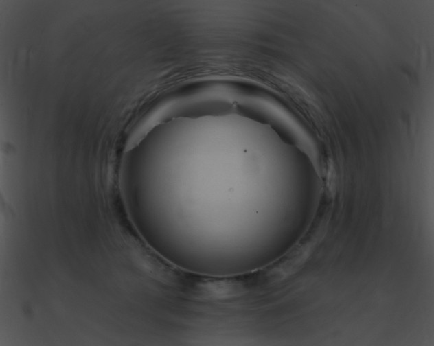 X0000090970417200708021441