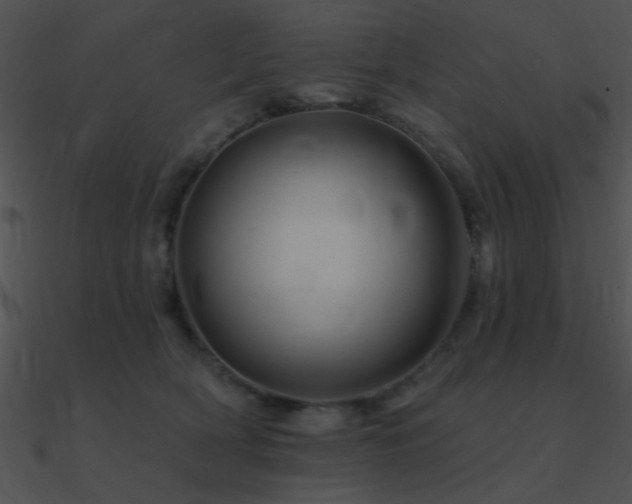 X0000090970418200708021441