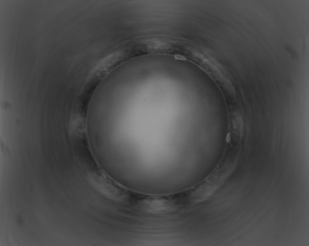 X0000090970419200708021441